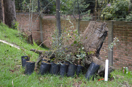 Reserva Natural “Mano de Oso”