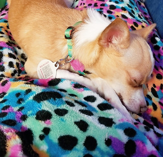 20191216_144529_edited.jpg