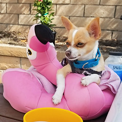 20190923_143129_edited.jpg