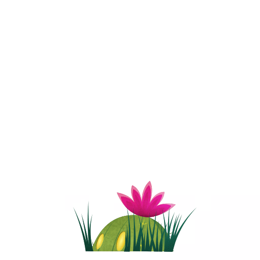 Catus