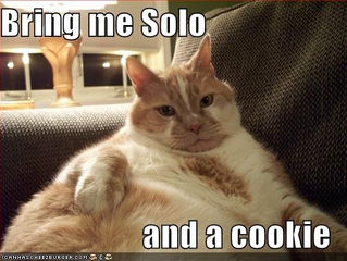 It's Cat time!!!