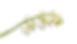 Untitled.png