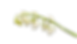 Untitled_edited.png