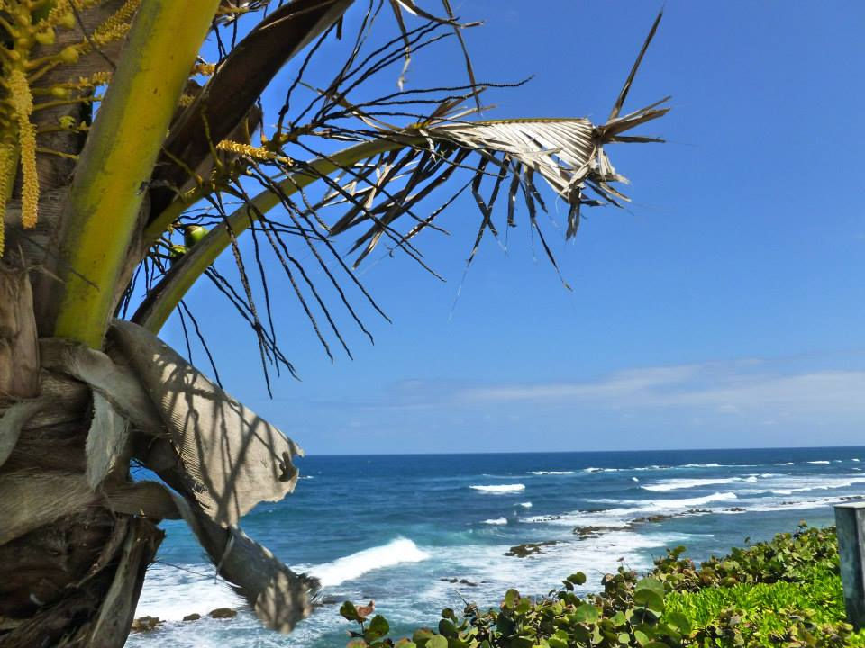 Palm Coast