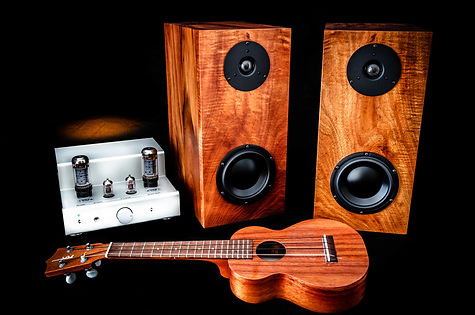 Speaker 2 (2).jpg
