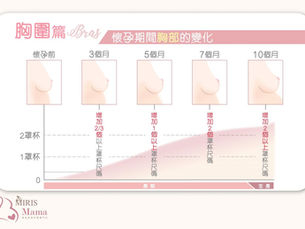 孕婦預防塞奶兼保持身形 先要揀好產前內衣!