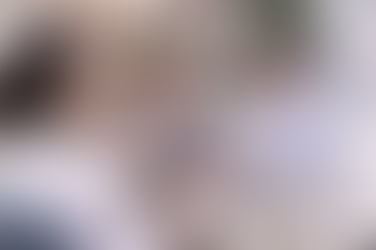 Marriage Counseling Tampa, Fl & Brandon, Fl