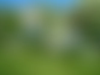 Just For The Heck of It, Fun!