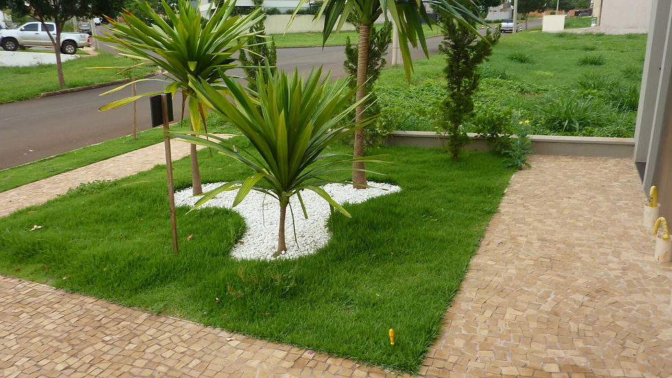 P1090041