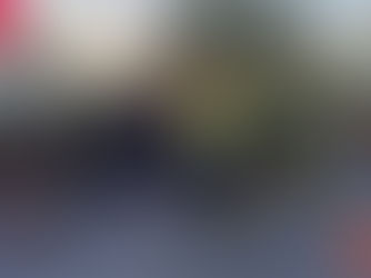 Tragedia en la CV-905 en Torrevieja: una palmera cayó sobre el coche, el conductor falleció.