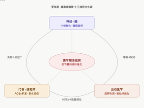 更年期冻结肩的病理机制:神经、代谢与运动的三角失衡