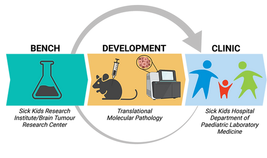 Translational research diagram copy (1).png