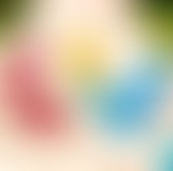 ポートメッセなごや『ウッドワンダーランド2025』<SlowP>イベントのお知らせ