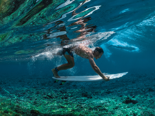 A IMPORTÂNCIA DOS RECIFES DE CORAIS PARA O SURF.