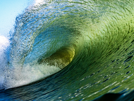 EXTINÇÃO DE ONDAS: PROTEGENDO A IDENTIDADE DO SURF.