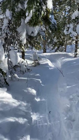piste de raquette aux Sentiers de l'Inconnu
