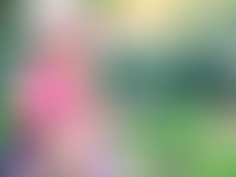 Where are all the female banjo players?