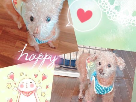 信じる心☆