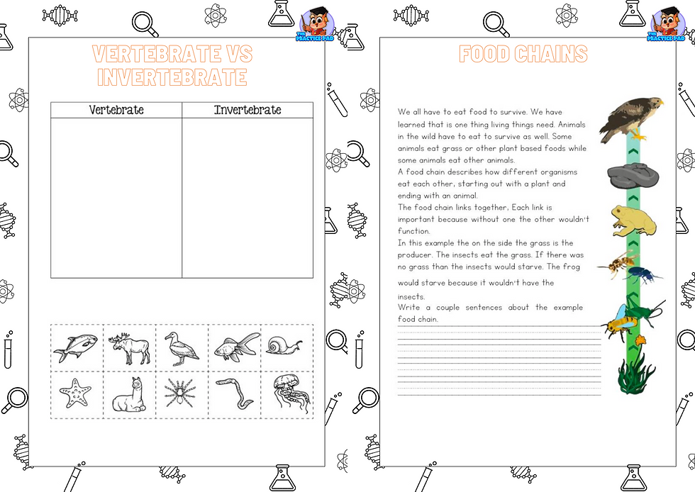 Thumbnail: Living & Non Living Things Activity Booklet