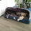 Thumbnail: Memory Foam Mattress with waterproof cover. Blue Deluxe Snuggle Bed 100 x 89cm