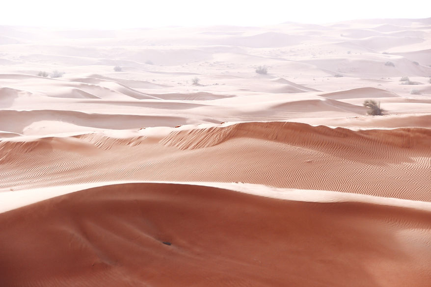 Dubai desert dunes_edited.jpg