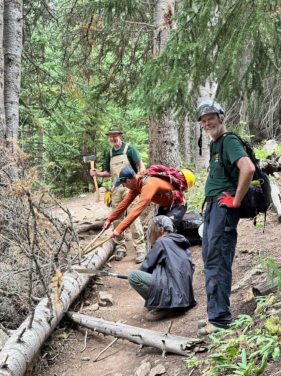 Removing a downed tree