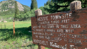 Hessie History