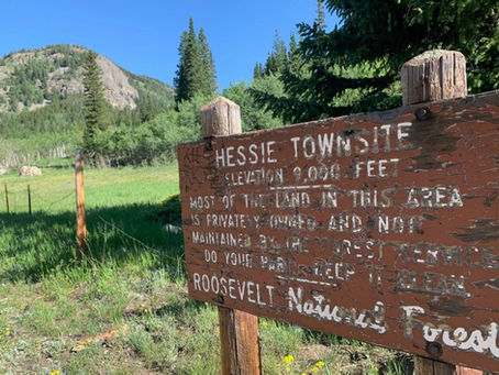 Hessie History