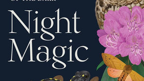 July 2026 Reading: Night Magic by Leigh Ann Henion