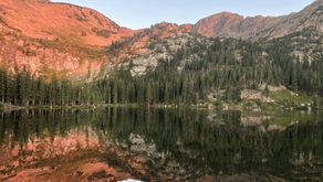 Showcasing 2021 Photo Contest Winners!