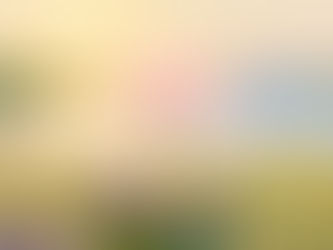 𝐒𝐞𝐥𝐟-𝐰𝐨𝐫𝐭𝐡 𝐨𝐮𝐭𝐥𝐚𝐬𝐭𝐬 𝐬𝐞𝐭𝐛𝐚𝐜𝐤s