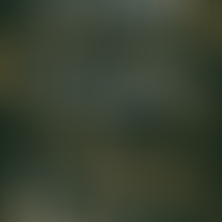 大人のためのクリスマスコース2023/12/23~25