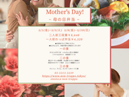 母の日弁当5/1~5/5 5/8~5/10