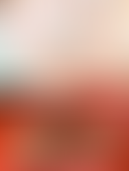 お花見弁当2026  3/20~4/12