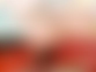 お花見弁当2026 3/20~4/12