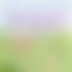 EBUF FYLLER 120 - Kom med och fira!