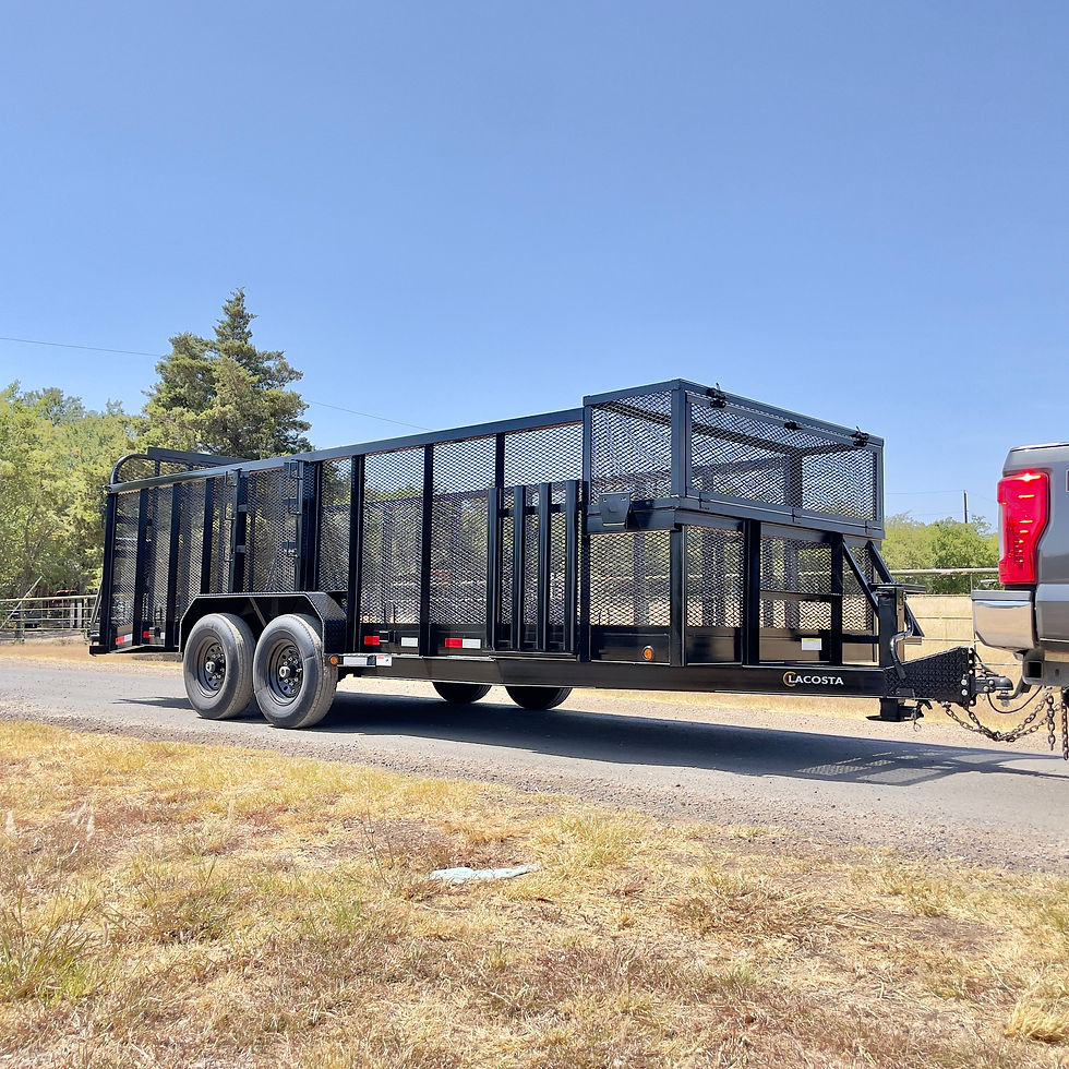20X83X4-HEAVY-DUTY-LANDSCAPE-TRAILER