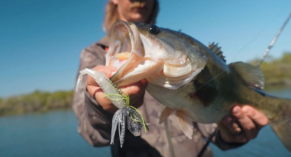 What Is a Chatterbait? 