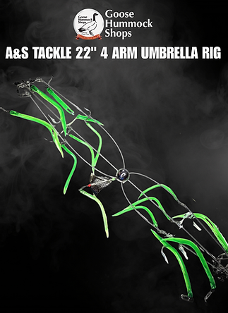 PHIL TALKS PRATICO BIG GAME GRIP AND TUNA FISHING (5).png