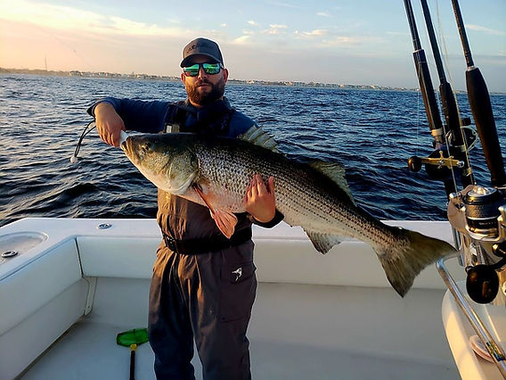 bass lures for sale Largemouth Bass