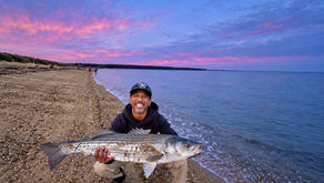 The October Cape Cod Fishing Explosion: Why Fall Run Is Far From Over!