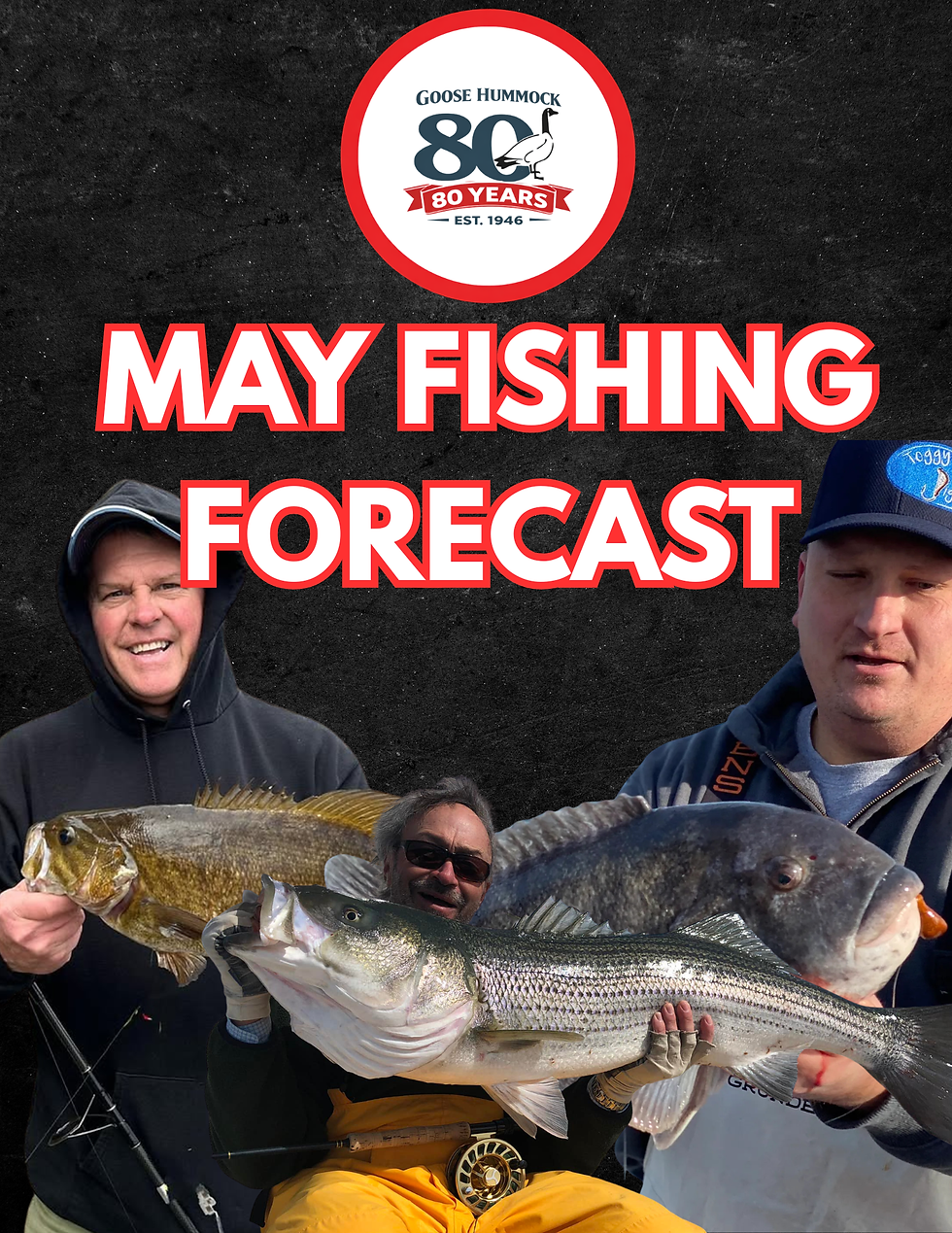  Goose Hummock Cape Cod Fishing Forecast – May