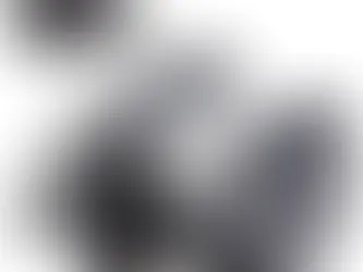 Shimano Torium Baitcasting Reel: Saltwater Power with Refined Engineering