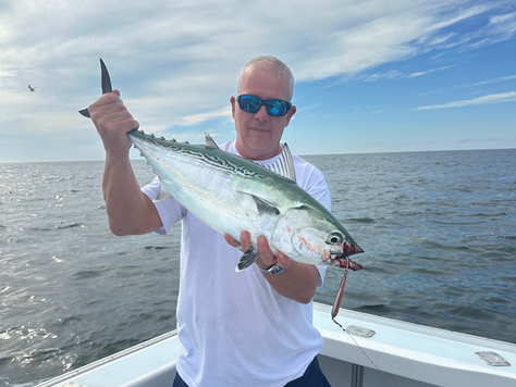 TMF HARD TAIL EPOXIES