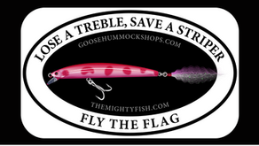 The Effectiveness of Changing Out Treble Hooks: Fish Mortality and Catch-and-Release Success