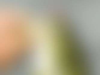 Largemouth Bass Fishing in August: Hot Weather, Hotter Bites