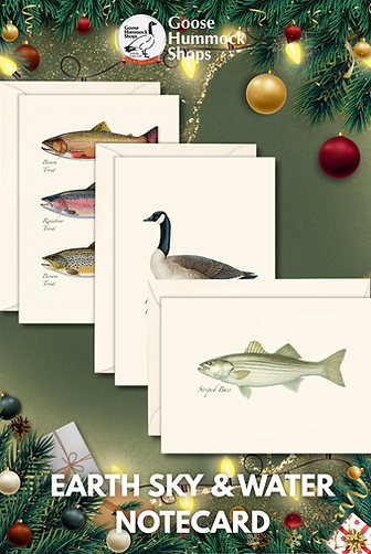 Your paragraph text - 2025-12-08T082156.006.png