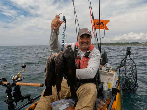 The Dog Days Are Still Fishing Days: Cape Cod Fisheries Remain Productive in August!