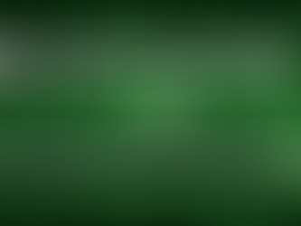 Shimano Trevala PX Split Casting Rod — In-Depth Review