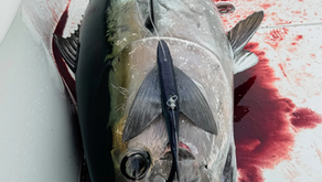 California Flyer Co. Delta Flyer 270 